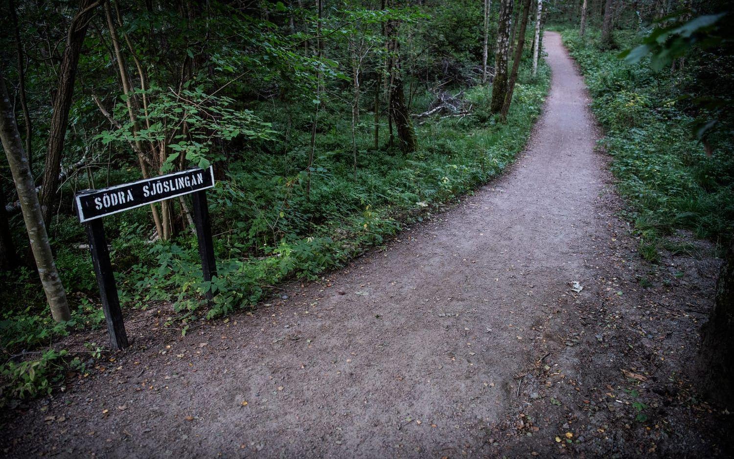 Här vid Delsjön överfölls och misshandlades kvinnan i 35-årsåldern så svårt att hennes skador var livshotande. Enligt polisen blev hon slumpmässigt utvald av gärningsmannen. 