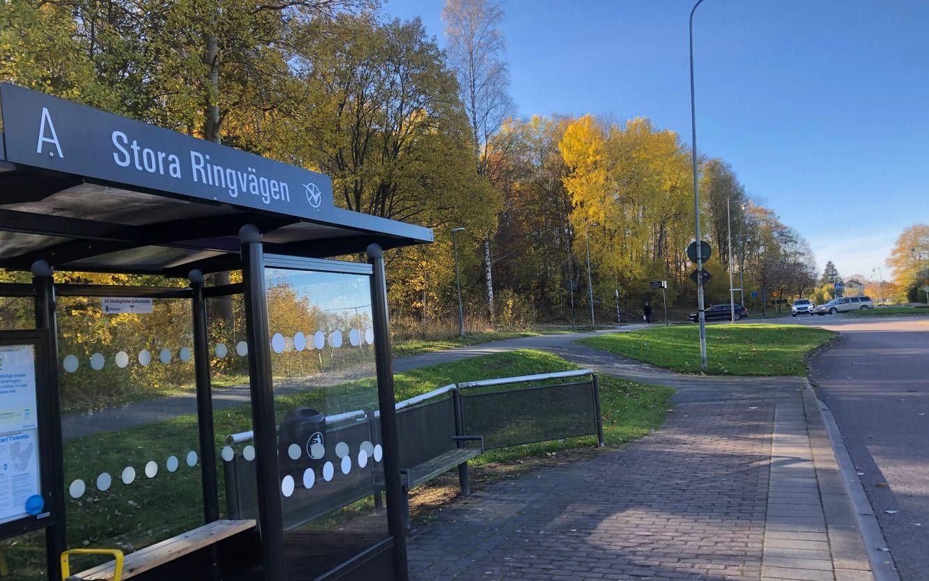 Vid korsningen Ringvägen-Göteborgsvägen och en liten bit av busshållplatsen vid Ringvägen. Här fanns planer på en ny skola i Sävedalen, den Internationella Engelska skolan.