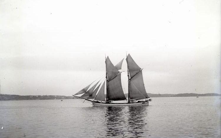 Hundra bilder på fartyg och båtar - från Strömstad till Laholm 